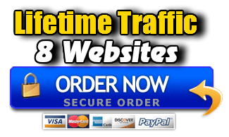 Lifetime Traffic 8 Websites